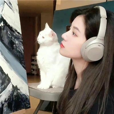 狗仔队